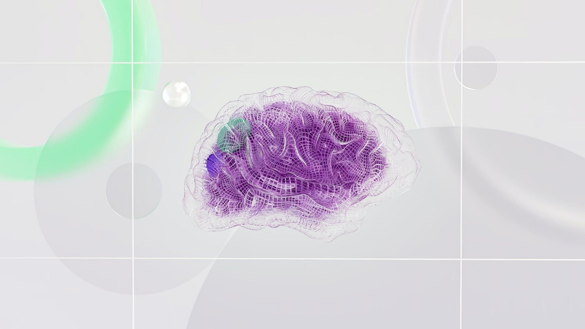 Enhances brain function (Image via Pexels/Google DeepMind)